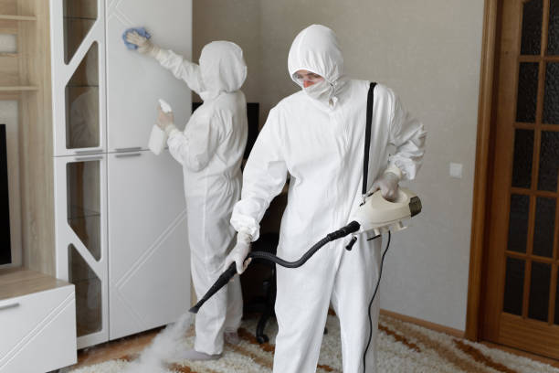 Best Commercial Mold Removal  in Lyndhurst, VA