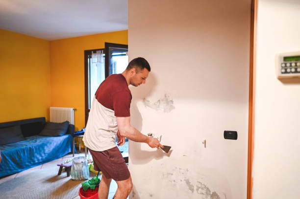 Best Mold Removal Company Near Me  in Lyndhurst, VA